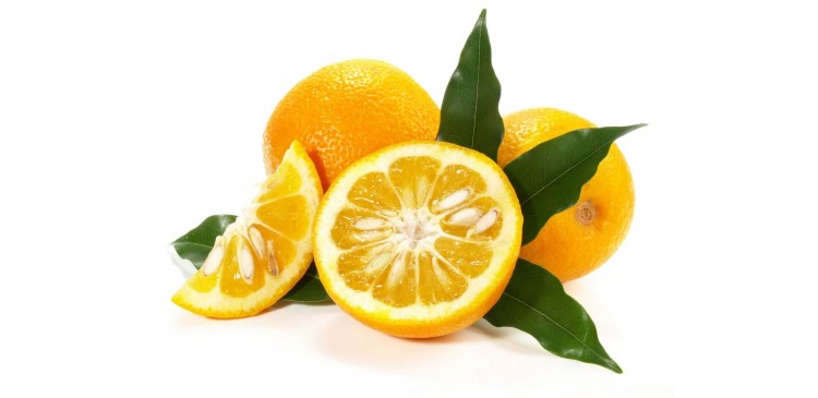 Sinefrina (synephrine) ¿que es y que beneficios tiene?